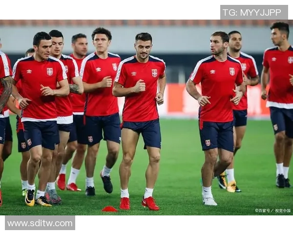 瑞士足球球星排名榜单解析与优秀球员实力对比 瑞士足球球星排名榜单解析与优秀球员实力对比